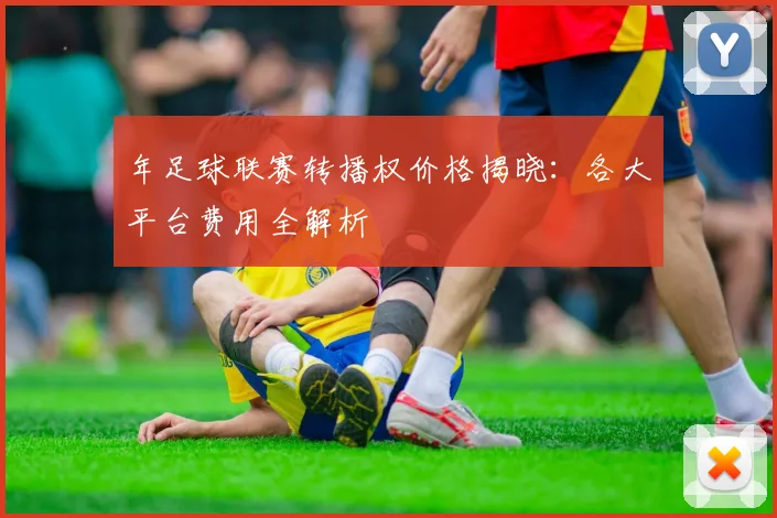 年足球联赛转播权价格揭晓：各大平台费用全解析